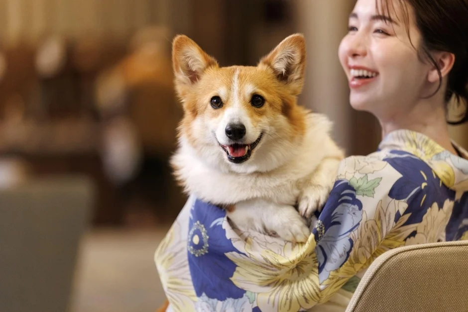 愛犬と最高の思い出を！わんわんリゾートの屋内ドッグランが全施設で大リニューアル