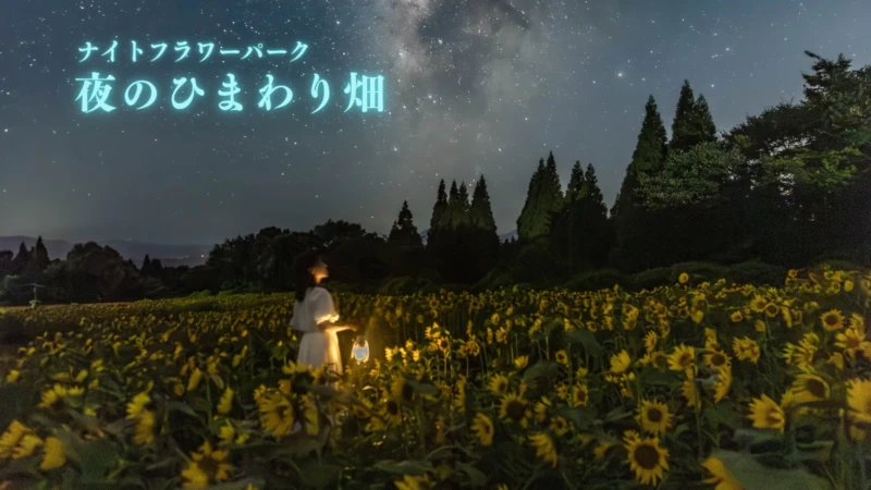 【大分・久住高原】夏の夜を彩る『ナイトフラワーパークSummer』開催！5万株のひまわりと初ライトアップのグリーンコキアが魅せる幻想世界