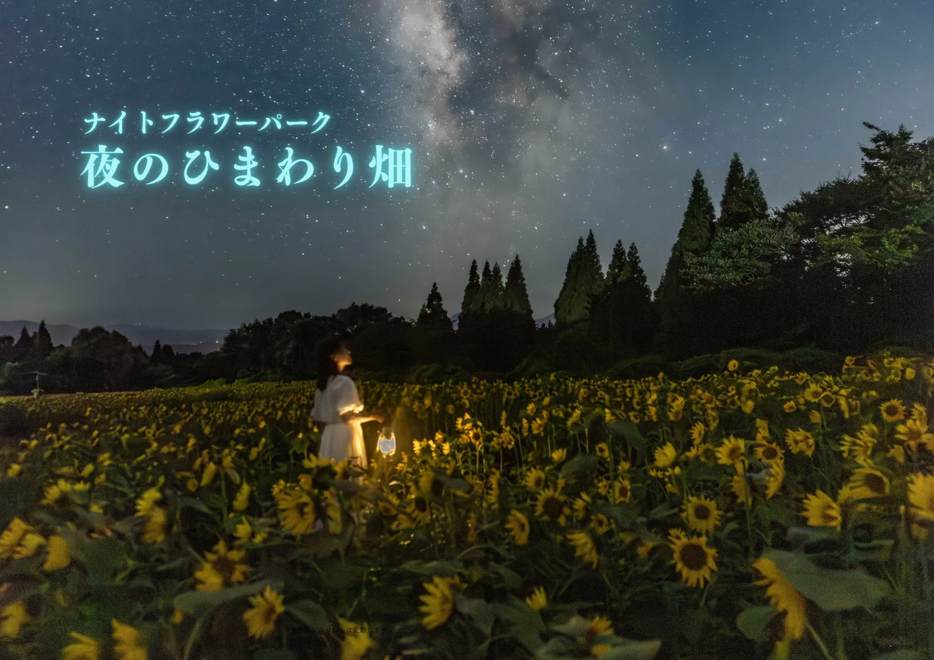 夜のひまわり畑、星空、女性、ランタン