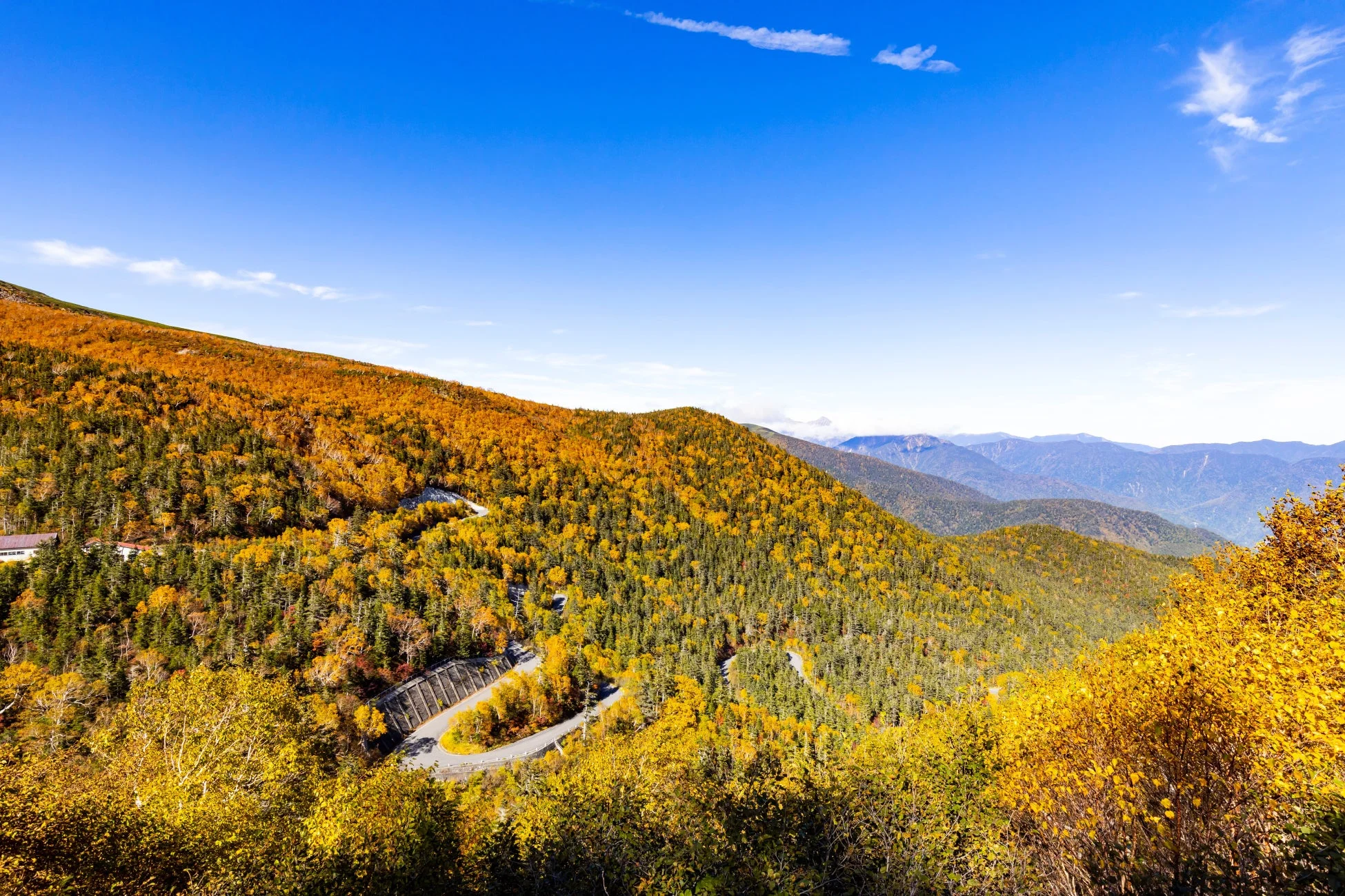 紅葉の山道