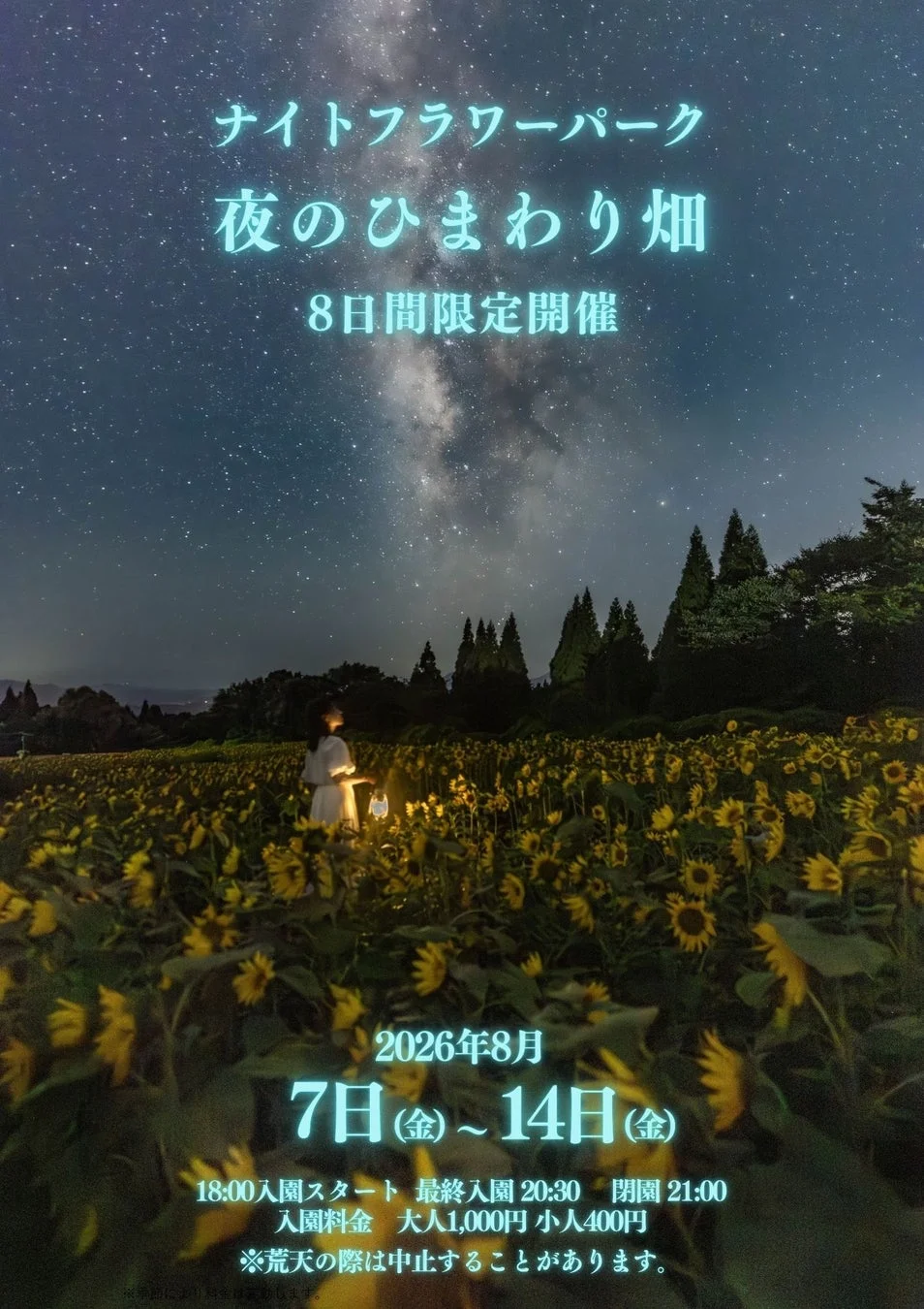 ナイトフラワーパーク告知ポスター、夜のひまわり畑、星空、ランタン