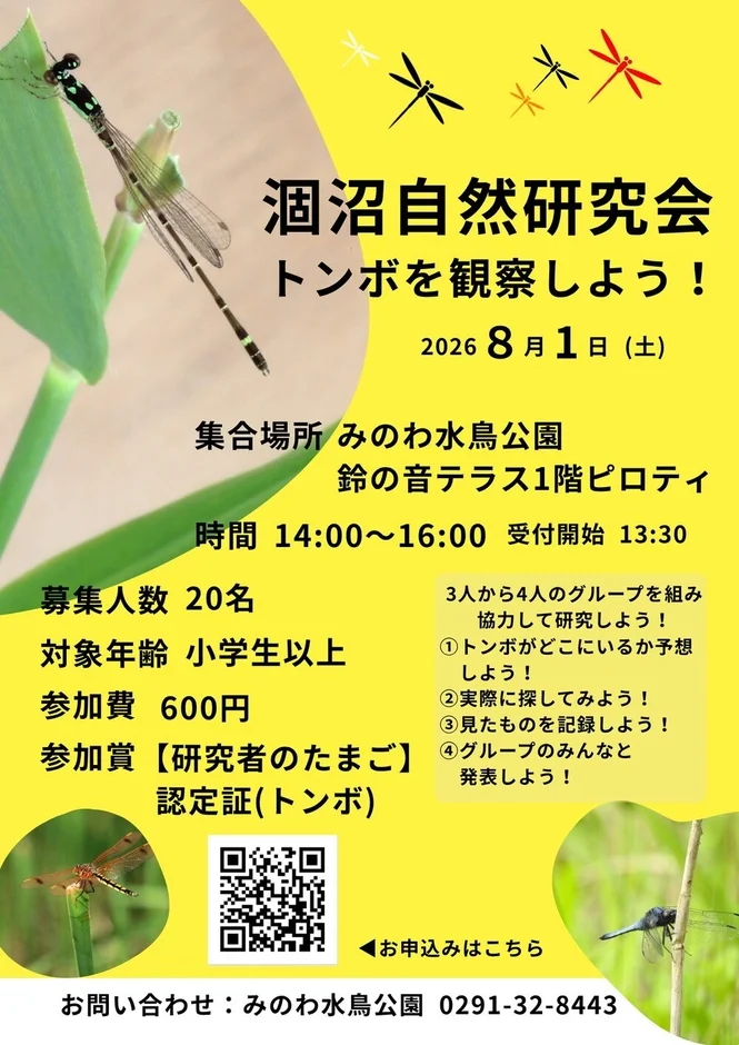 トンボ観察イベントのポスター