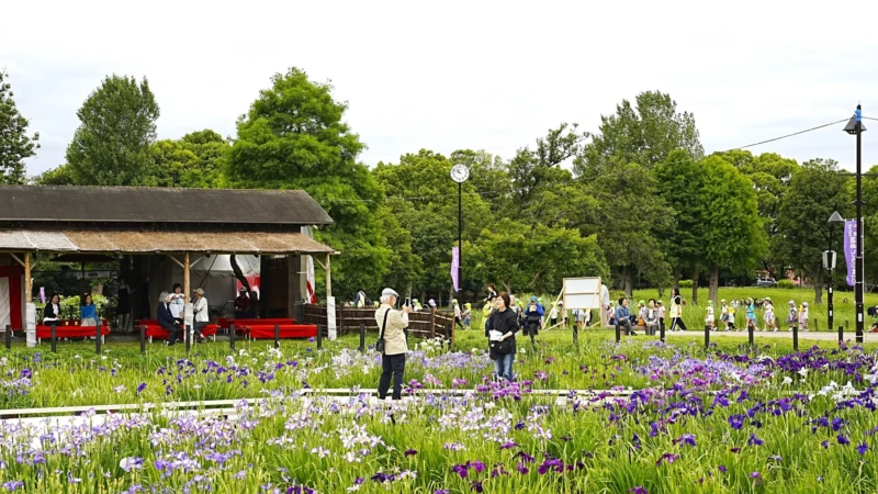 葛飾区「水元公園」で観光事業を公募！最大200万円補助であなたのアイデアを形に