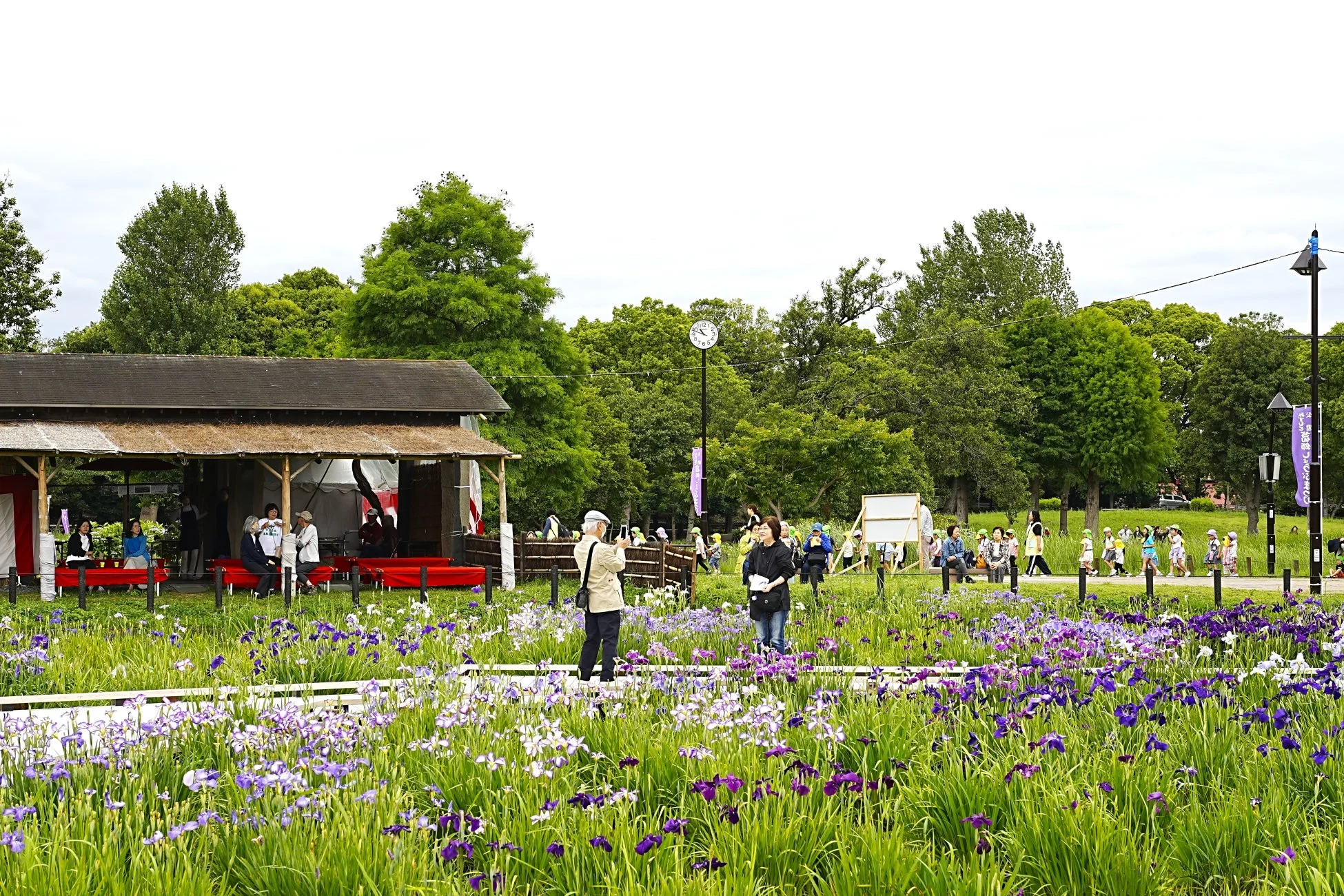 あやめまつりの風景