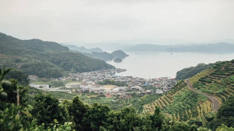 愛媛県西予市で「第2のふるさと」を見つけよう！親子で地域の課題解決に貢献するスタディツアー
