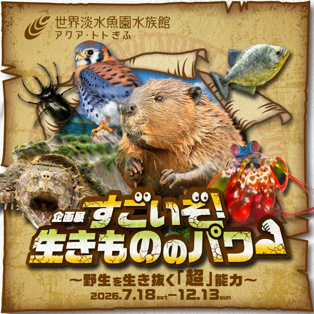 企画展ポスター