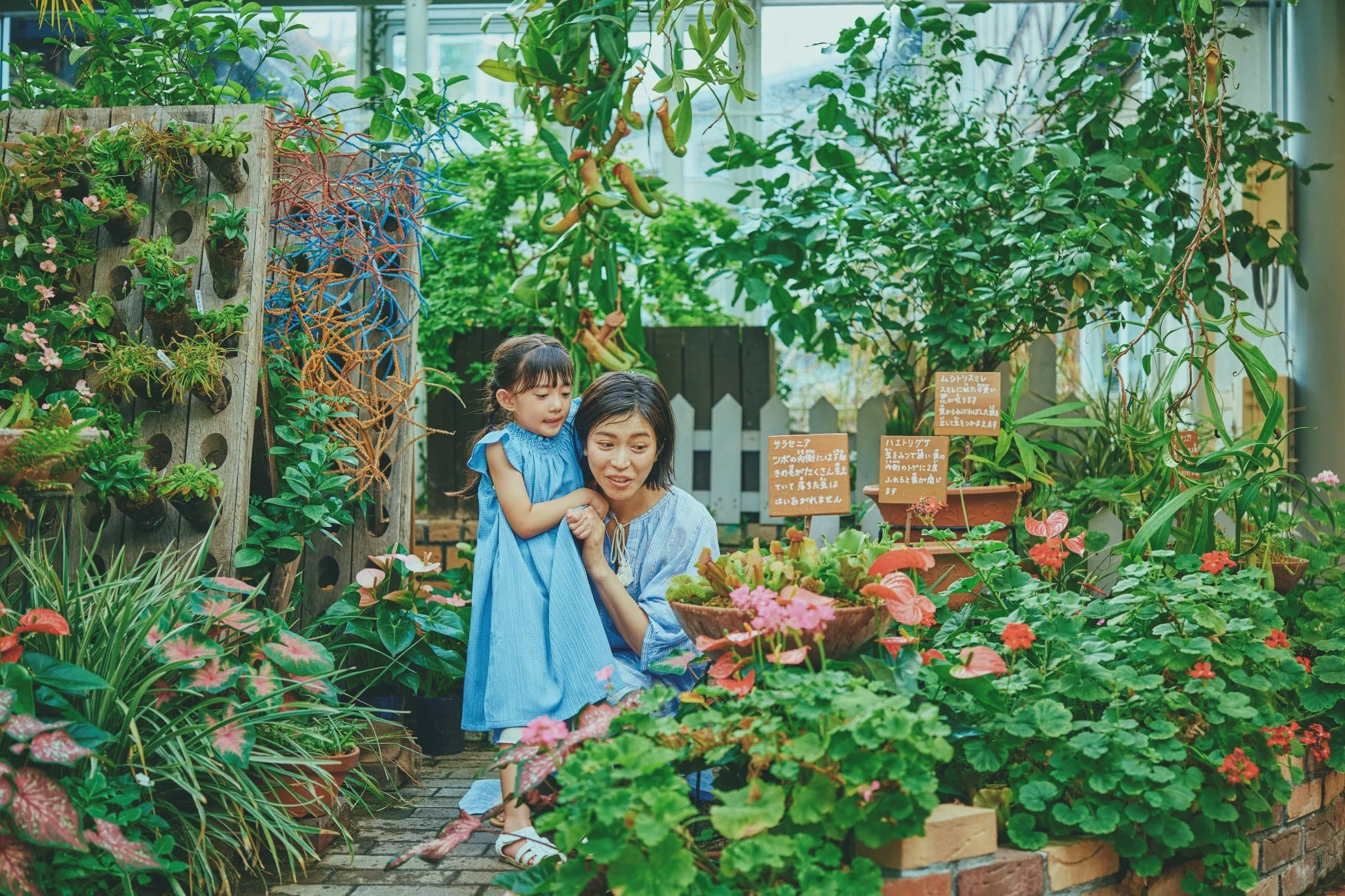 食虫植物の展示