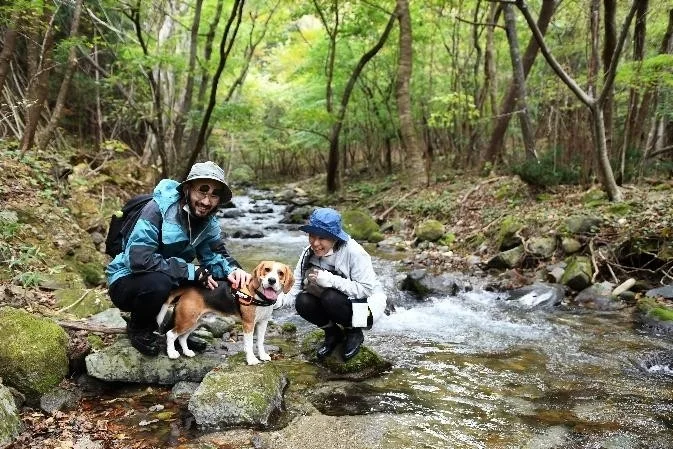 犬とハイキング