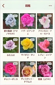 バラの品種が並ぶ図鑑アプリの画面