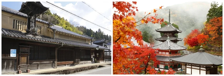 伝統的な日本家屋の街並みと、紅葉に彩られた山中の寺院