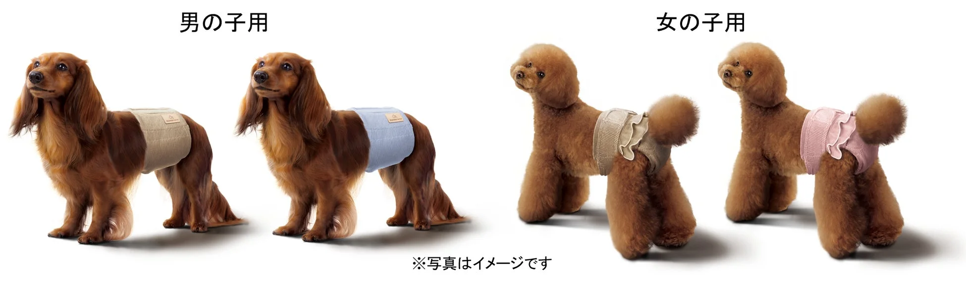 男の子用と女の子用のデザインアウター