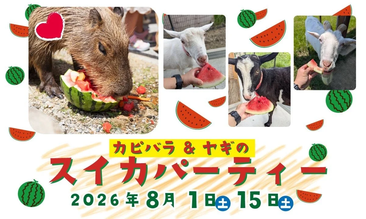 カピバラとヤギのスイカパーティー
