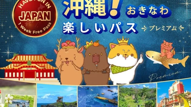 夏の沖縄を遊び尽くす！旅の「タイパ」と「コスパ」を最大化する「楽しい沖縄プレミアムパス」が登場