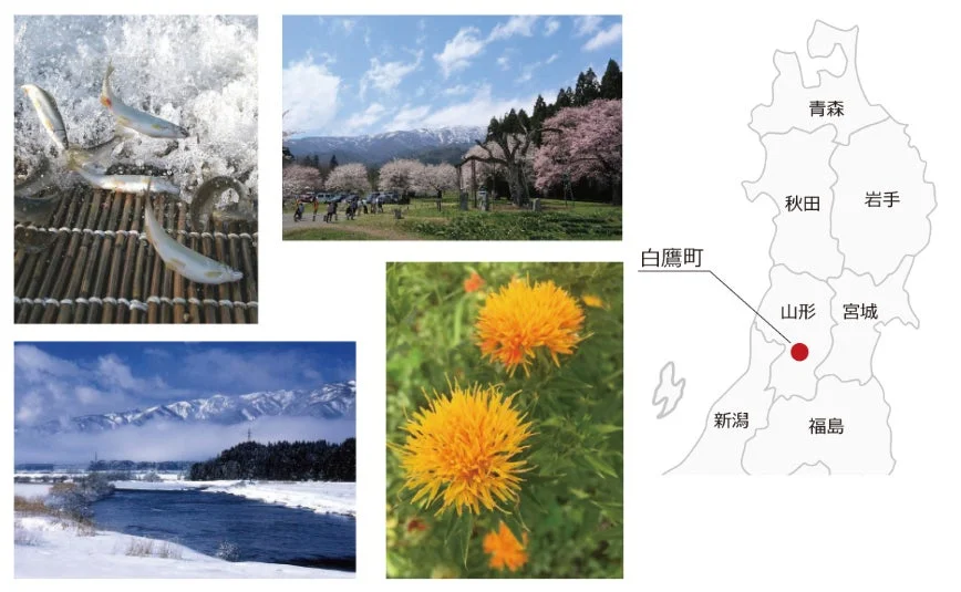 白鷹町の四季