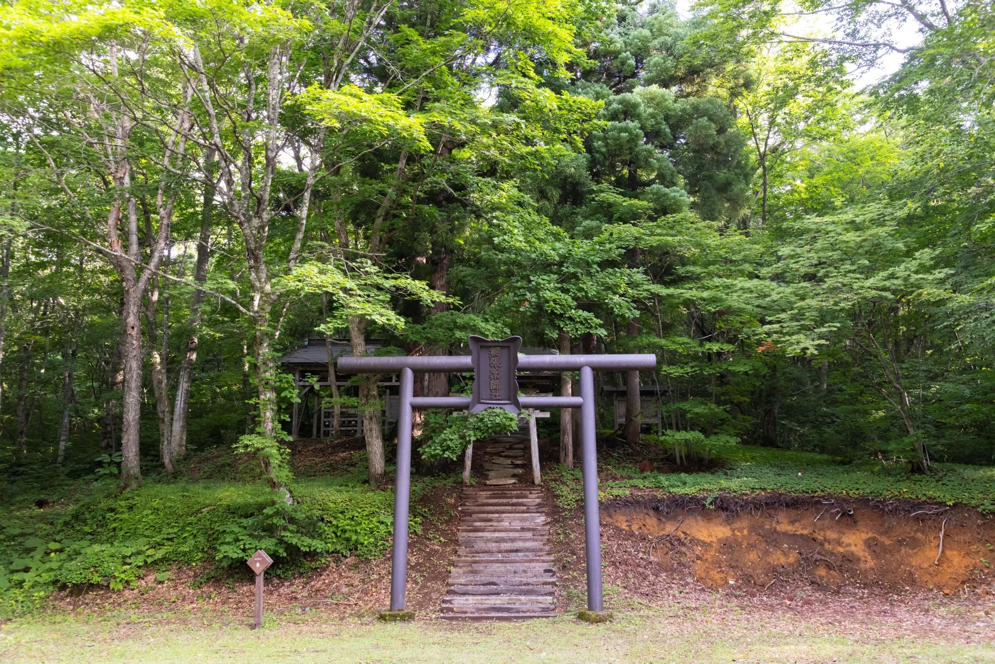 神社、鳥居、森