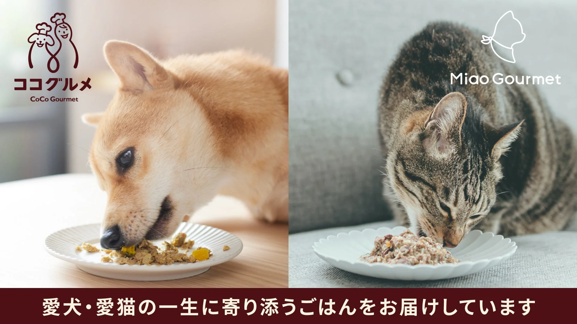 犬と猫がそれぞれ皿に盛られたフードを食べる様子とブランドロゴの画像