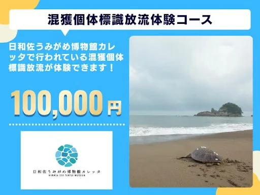 混獲個体標識放流体験