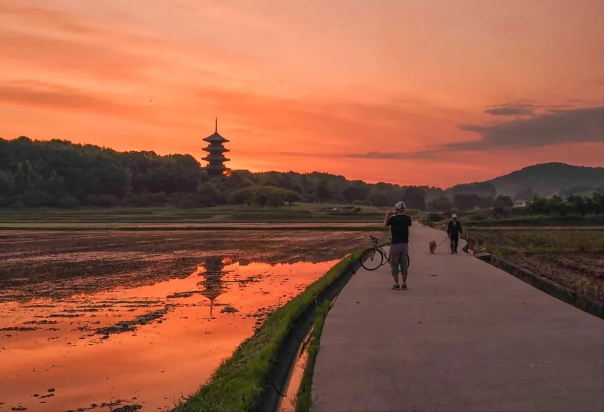 夕焼け空が広がる水田の畔で、五重塔が水面に映り込む美しい日本の風景です。