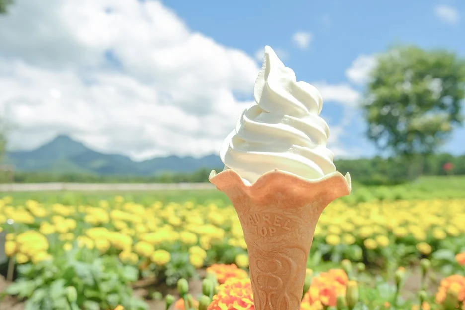 花畑を背景にしたソフトクリーム