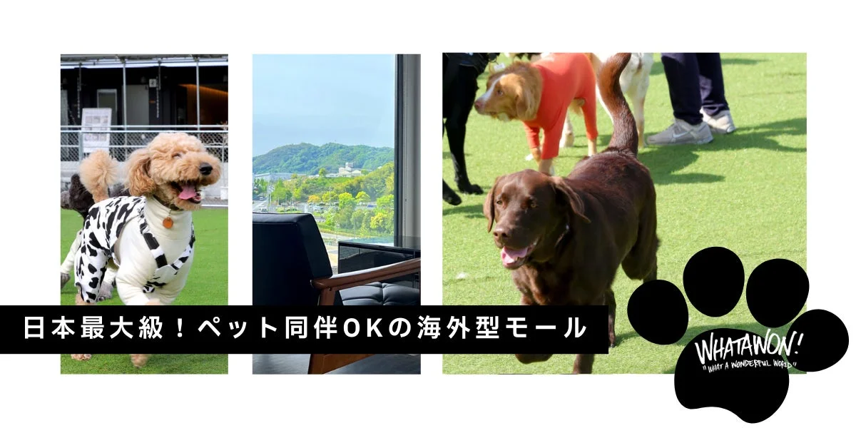 WHATAWON施設外観