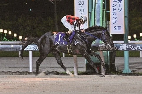 競走馬「ザントノーレ」が疾走する様子