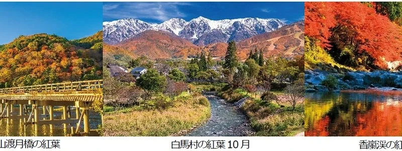秋から年末年始の旅行計画は今がチャンス！全国各地発着「JRで行く鉄道の旅〈秋〉」タイムセールで紅葉・温泉・観光を満喫