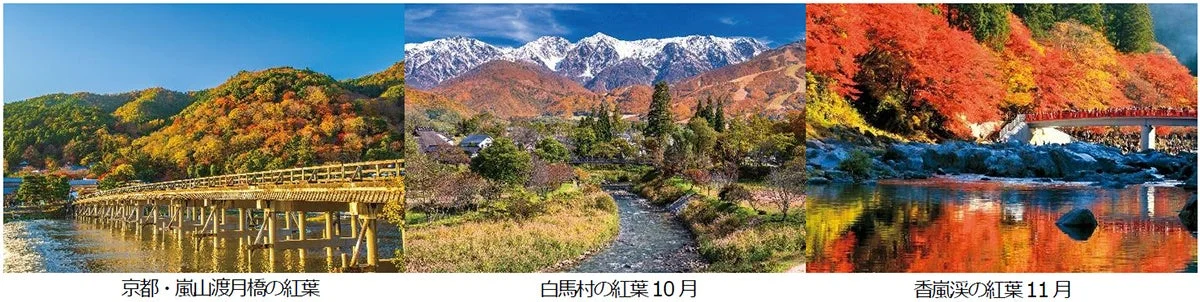 秋から年末年始の旅行計画は今がチャンス！全国各地発着「JRで行く鉄道の旅〈秋〉」タイムセールで紅葉・温泉・観光を満喫