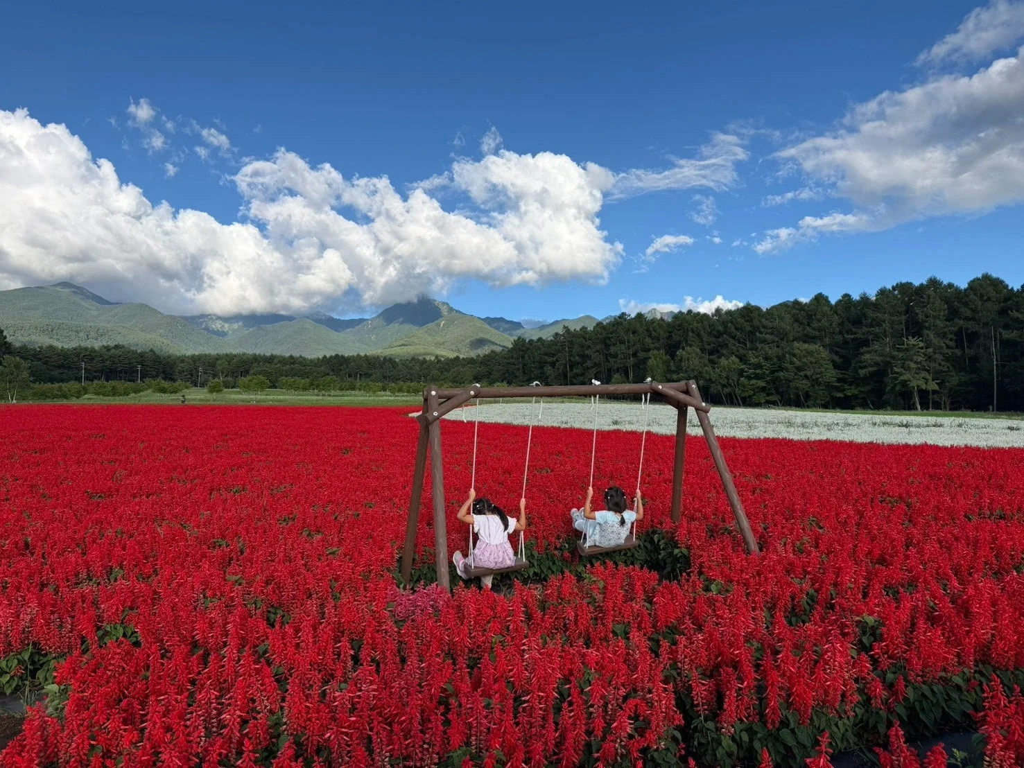 花畑の中のブランコで遊ぶ子供たち