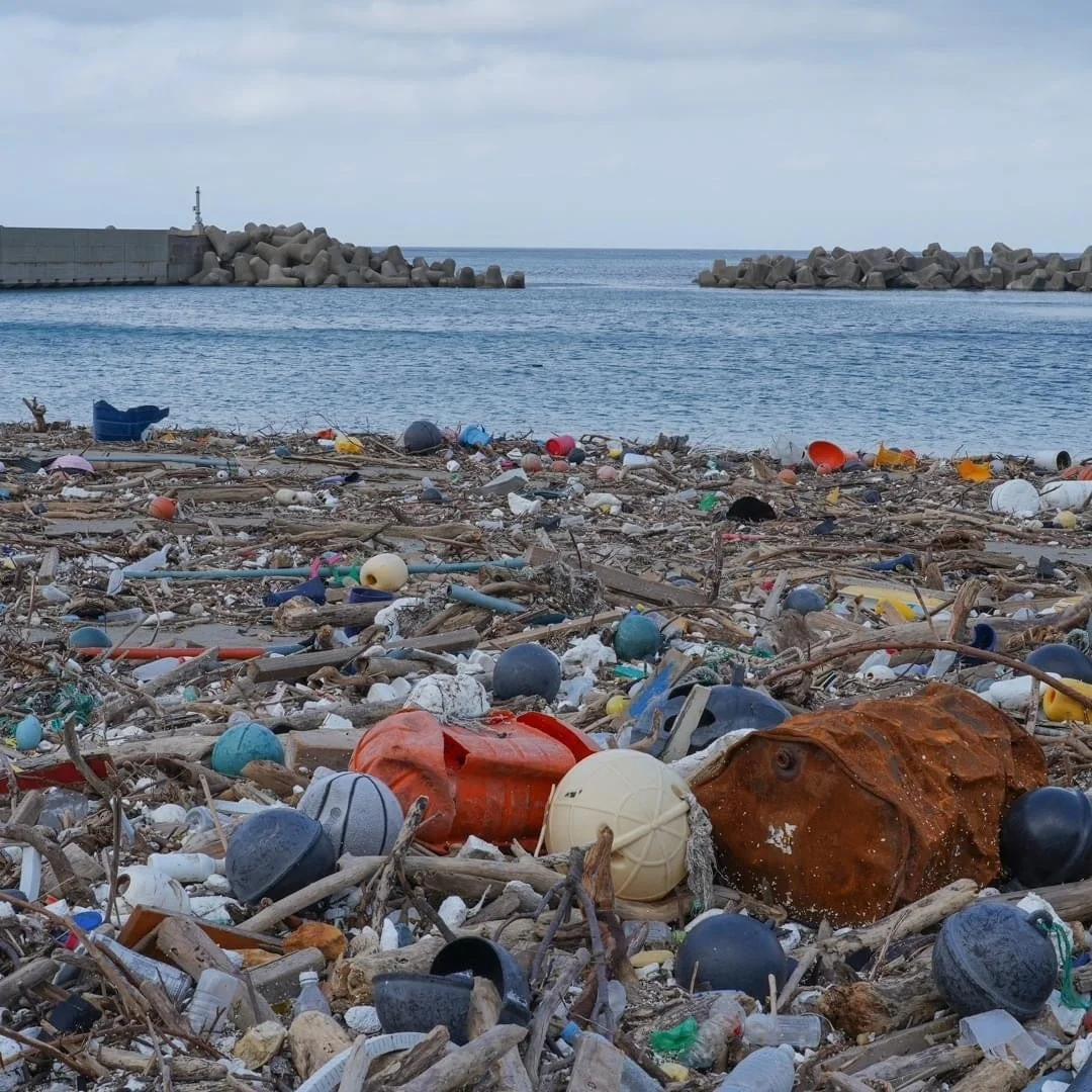 海岸に散乱する海洋プラスチック