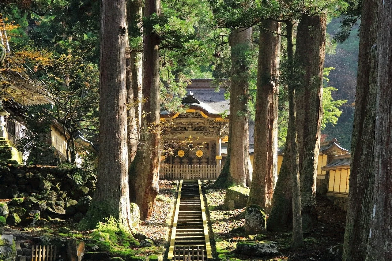 高くそびえる木々に囲まれた日本の伝統的な寺社建築