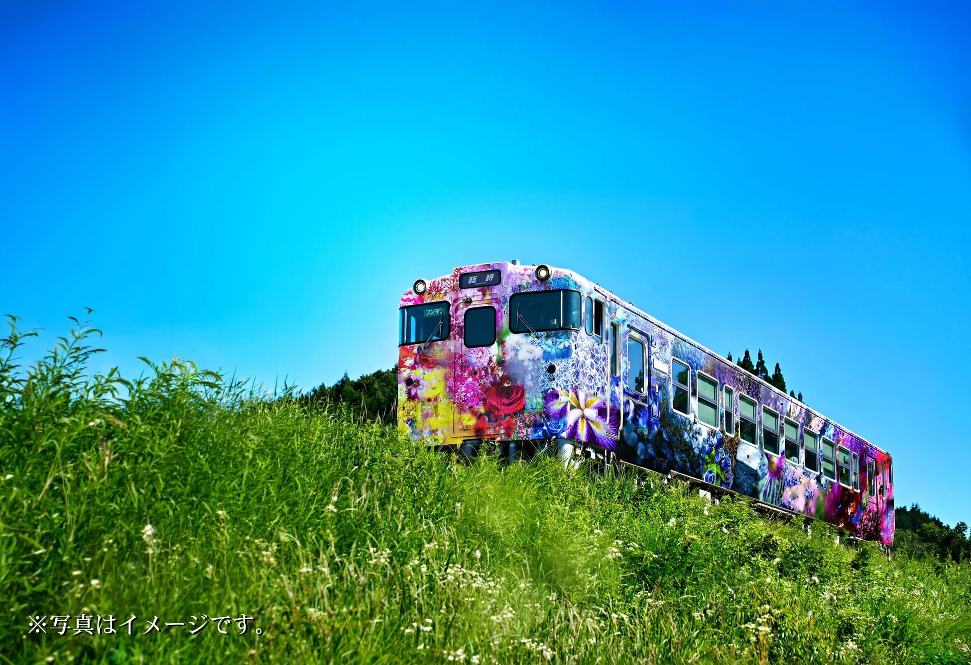 鮮やかな花柄でラッピングされた列車が、青空と緑豊かな草むらを背景に走る様子を捉えた画像です。