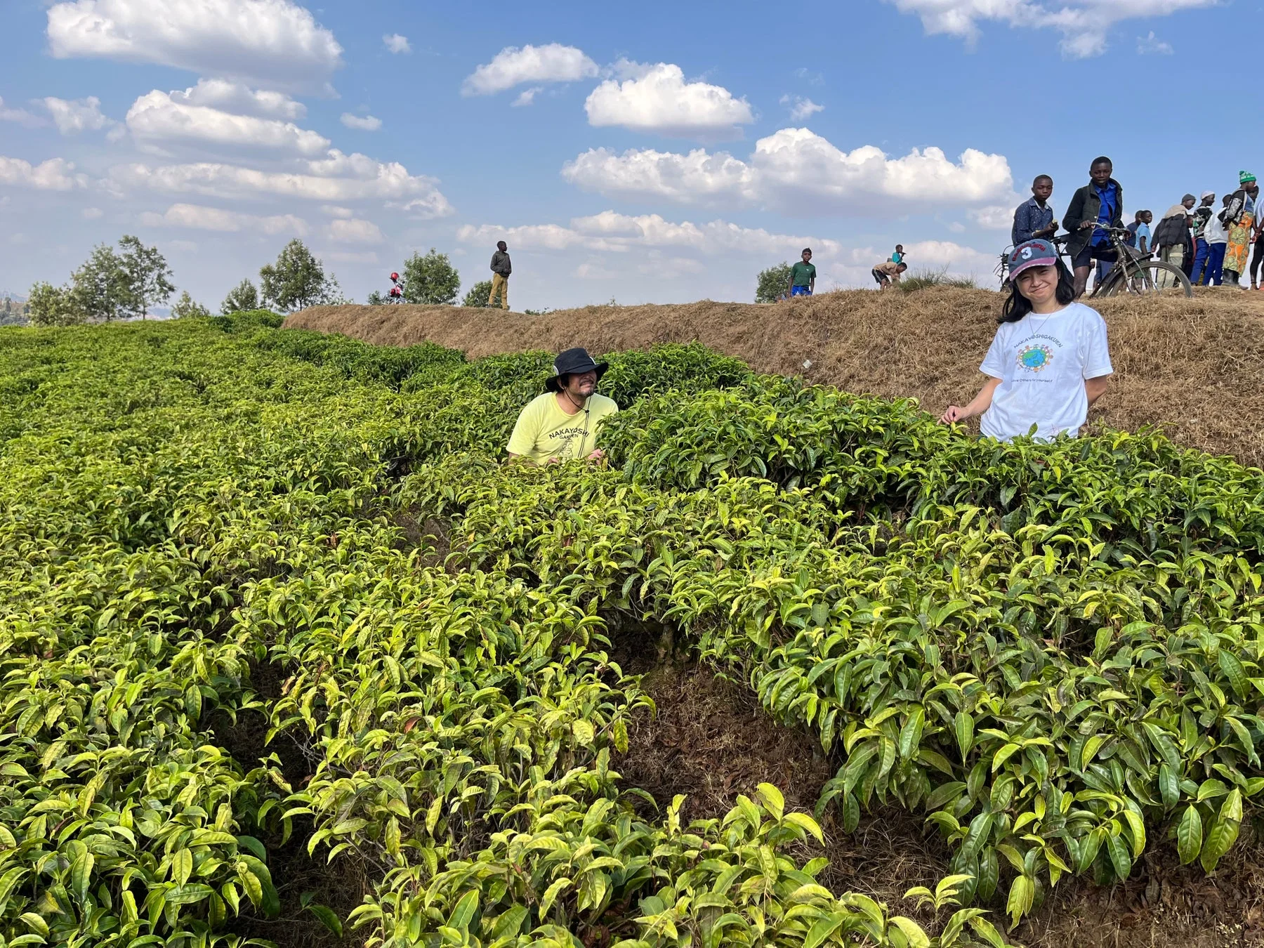 ルワンダの茶畑で交流する人々
