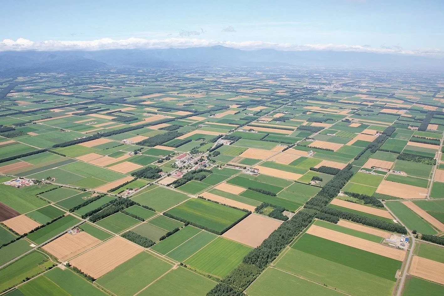 広大な農地が広がる更別村の風景
