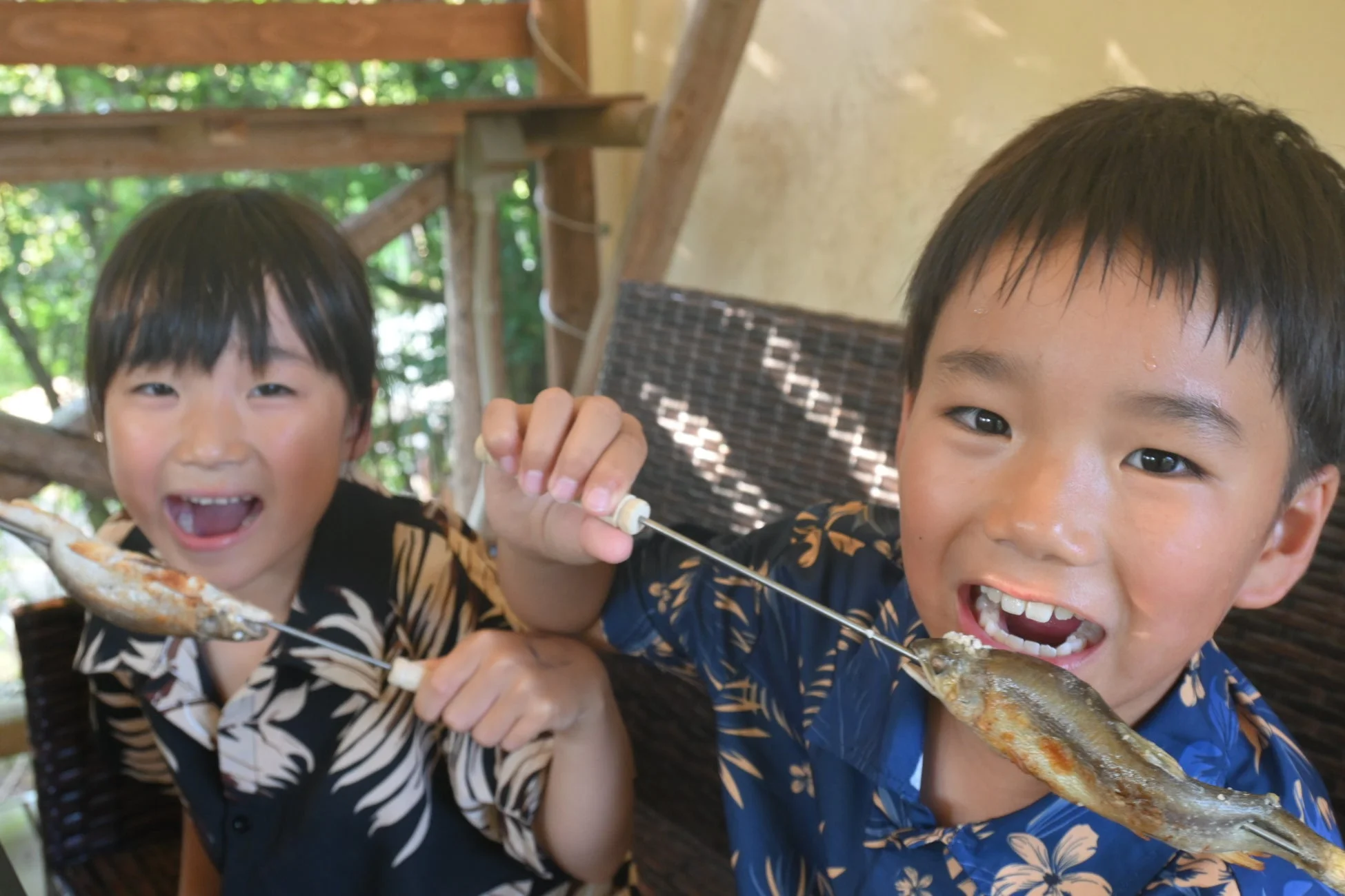 焼き魚を食べる子供たち