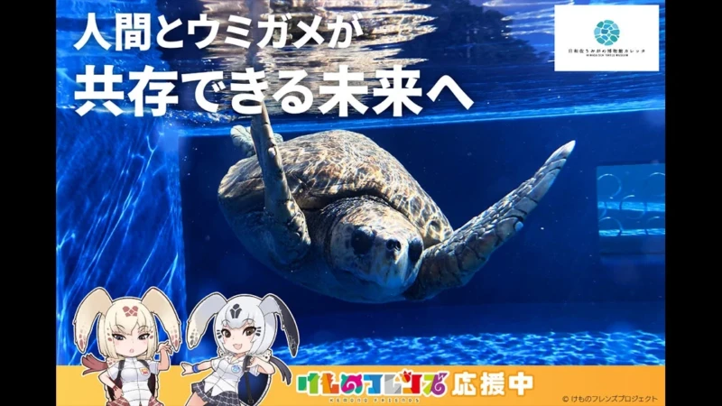 ウミガメの聖地を守る！徳島「カレッタ」のクラウドファンディングで、環境保全と楽しいリターンをゲット