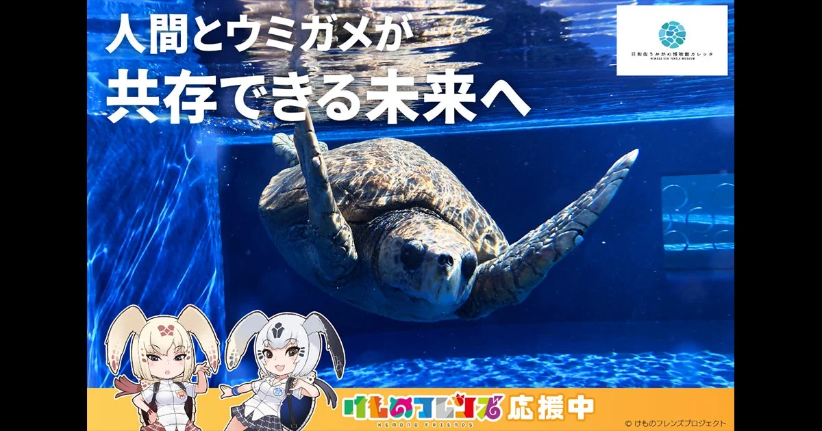 ウミガメの聖地を守る！徳島「カレッタ」のクラウドファンディングで、環境保全と楽しいリターンをゲット