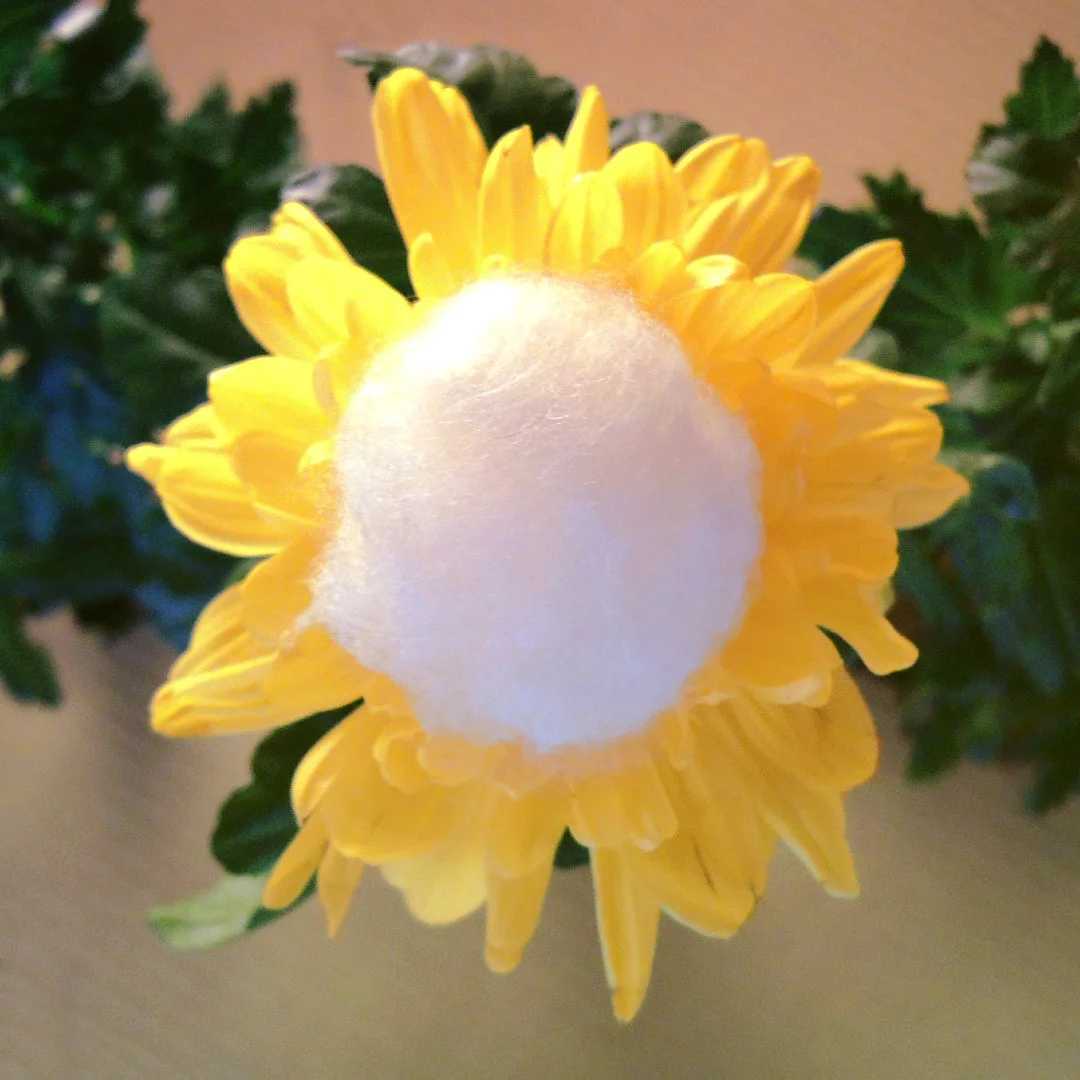 装飾的な花