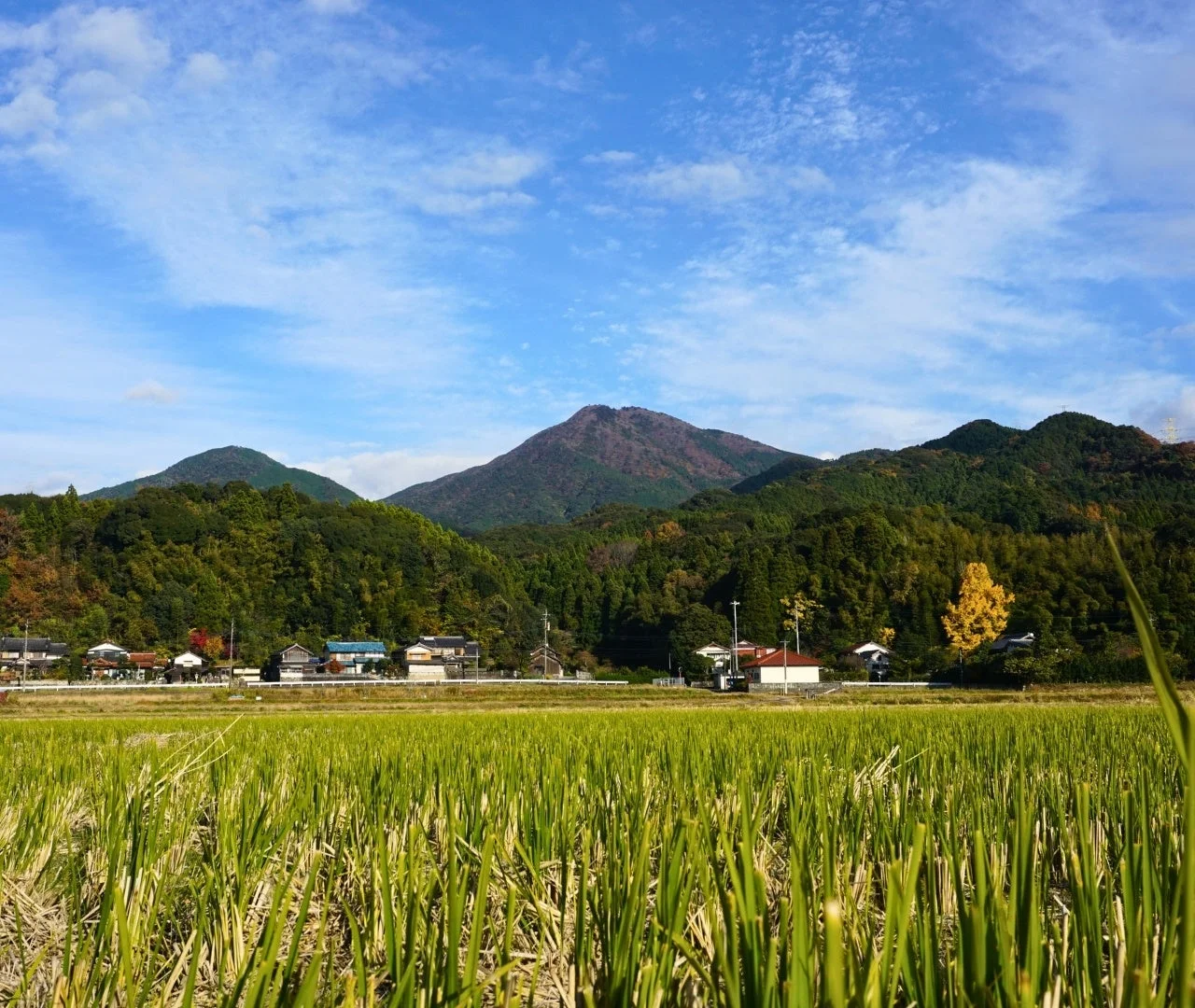 紅葉した山々が連なる田園風景