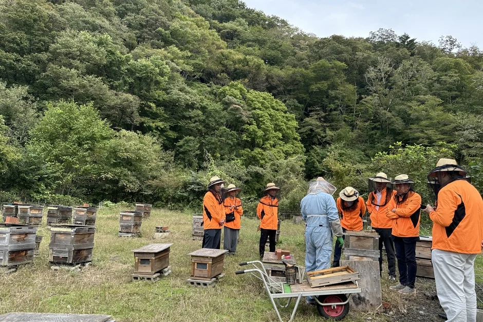 養蜂場で蜂の巣箱について学ぶ