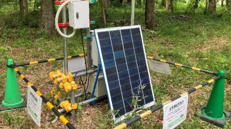 未来の自然を守る一歩！相模原市で始まる音声AI生物モニタリングの実証実験