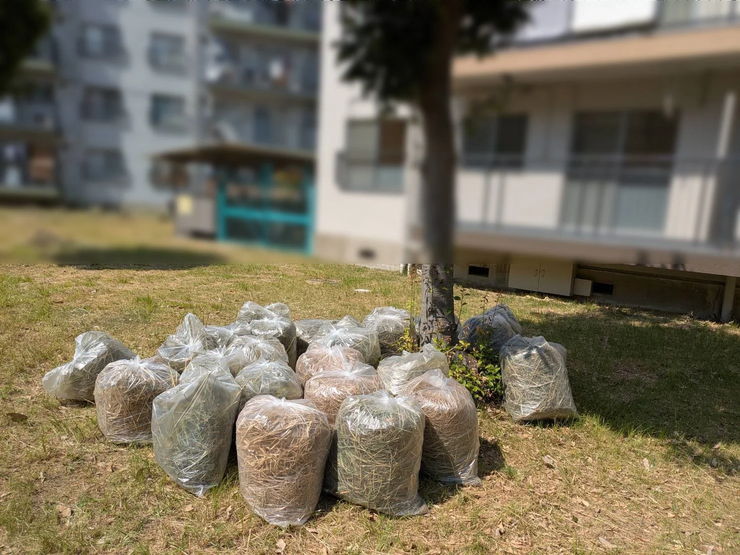 きれいに片付けられた草の山