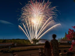 夏の夜を彩る！ハーベストの丘で8日間限定「夏祭り」イベント開催！ミニ花火ショーや盆踊り、遊戯屋台で大満喫