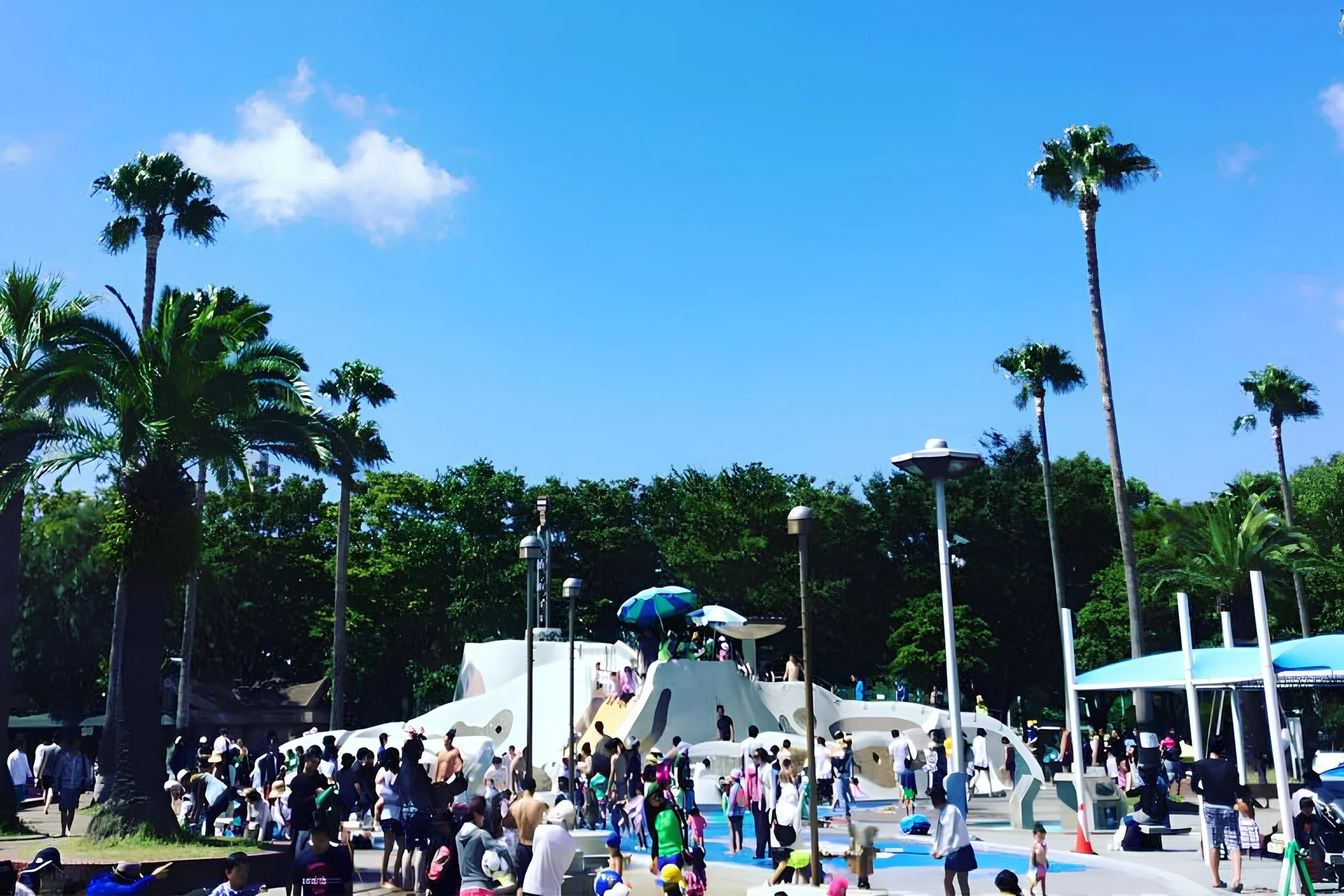 県立西猪名公園 ウォーターランド