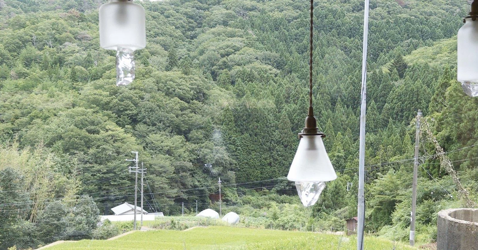 窓越しに広がる田園風景