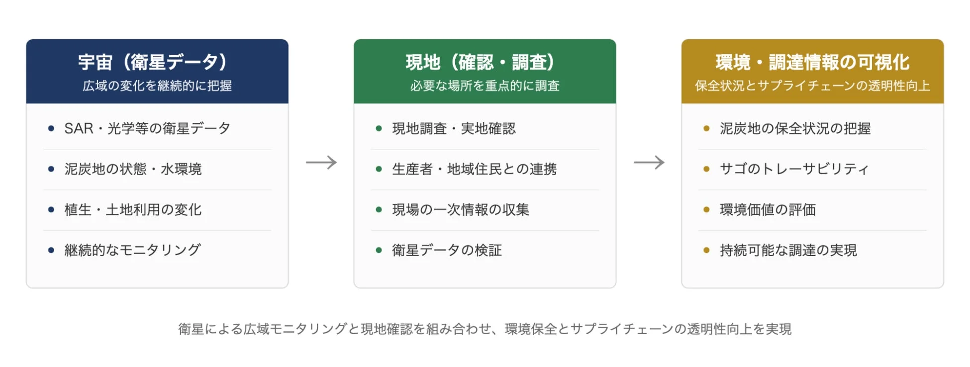 衛星データと現地調査の連携フロー