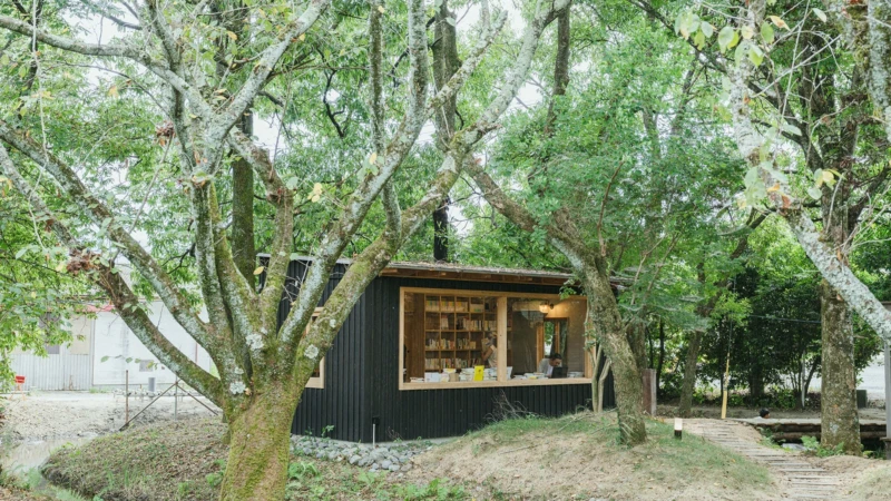 熊本・甲佐町に誕生！「森の図書室 OWL」で本と過ごす「超・自由」な時間を体験しよう