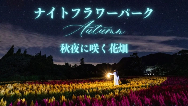 大分・久住高原の夜空と星空を満喫！「ナイトフラワーパークAutumn」で幻想的な秋の夜を体験