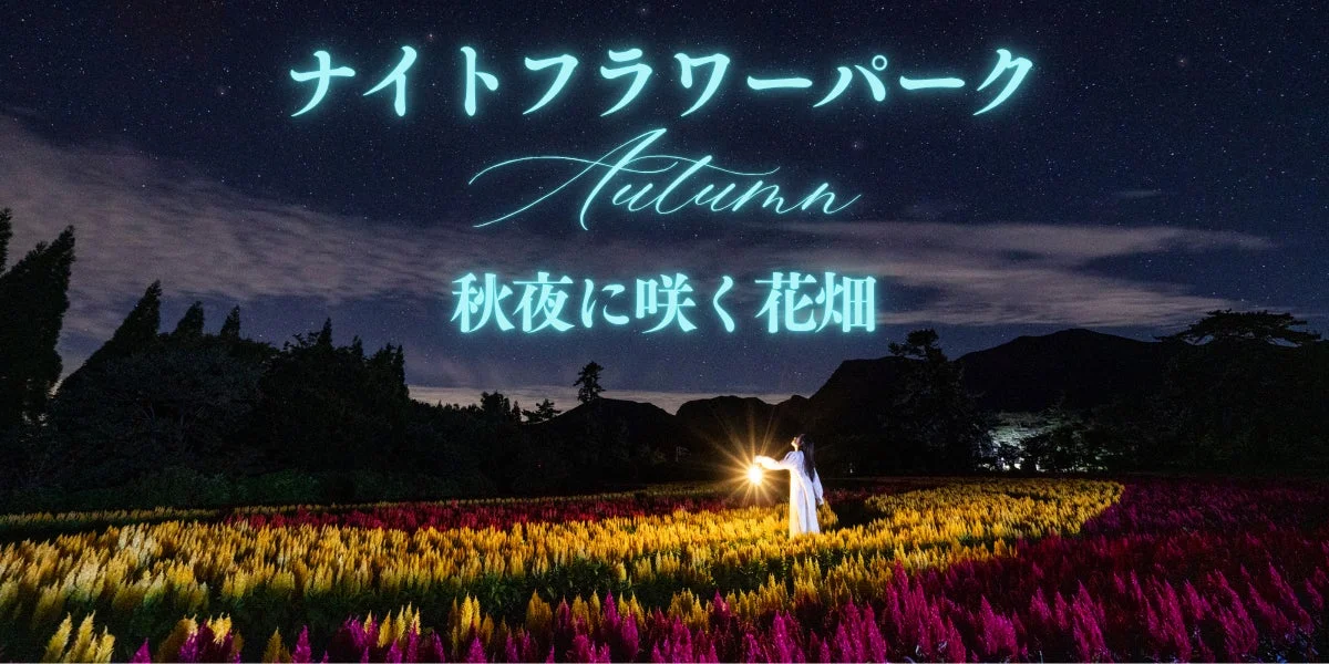 大分・久住高原の夜空と星空を満喫！「ナイトフラワーパークAutumn」で幻想的な秋の夜を体験
