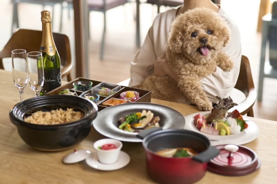 犬と食事