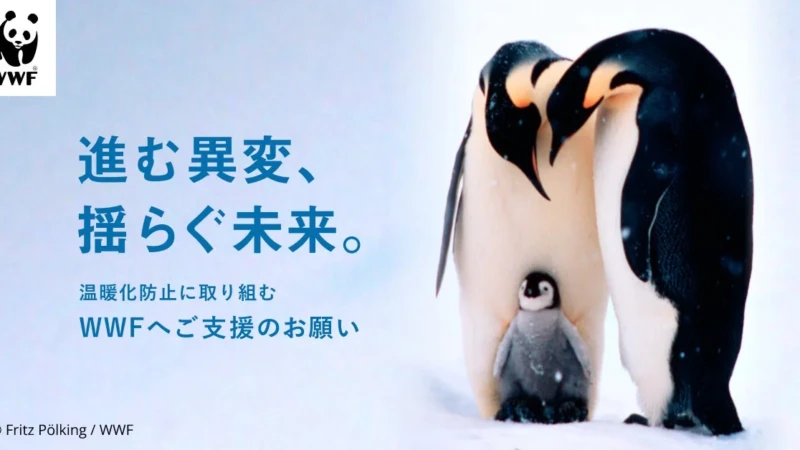 コウテイペンギンも絶滅危惧種に WWFジャパンが気候危機対策キャンペーン「進む異変、揺らぐ未来。」を開始